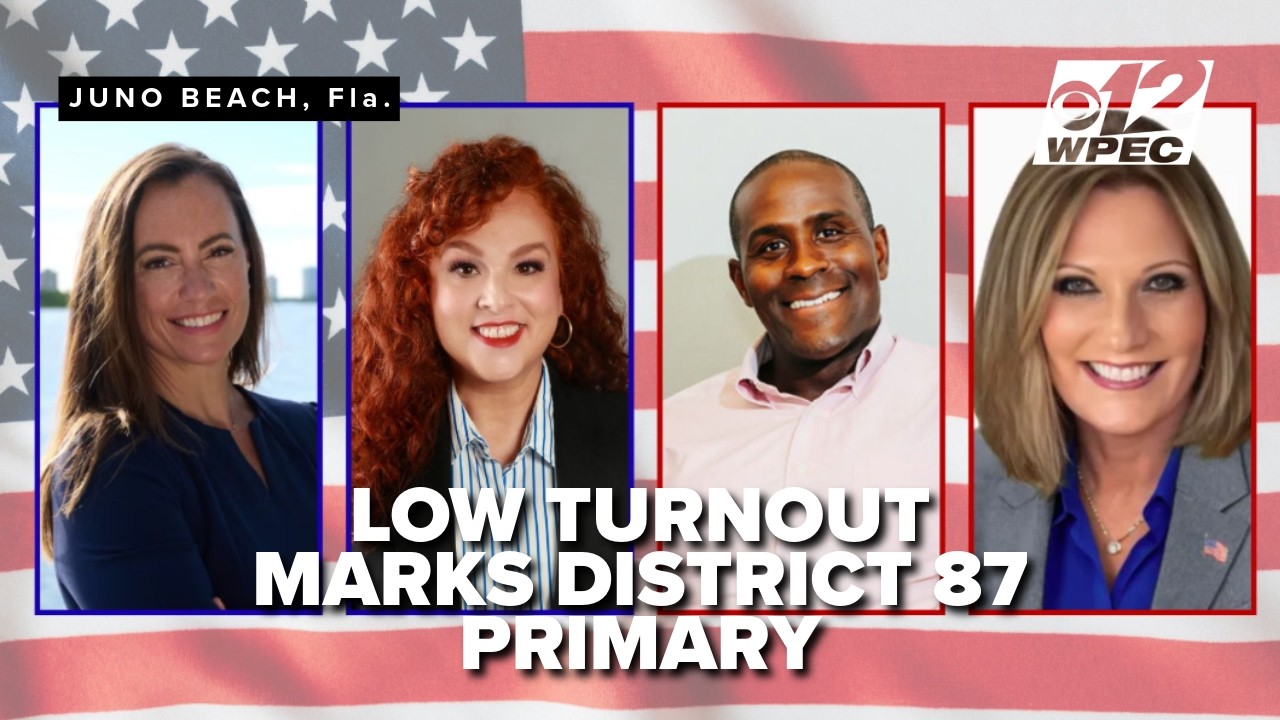 Low turnout in Palm Beach County&rsquo;s House District 87 special primary