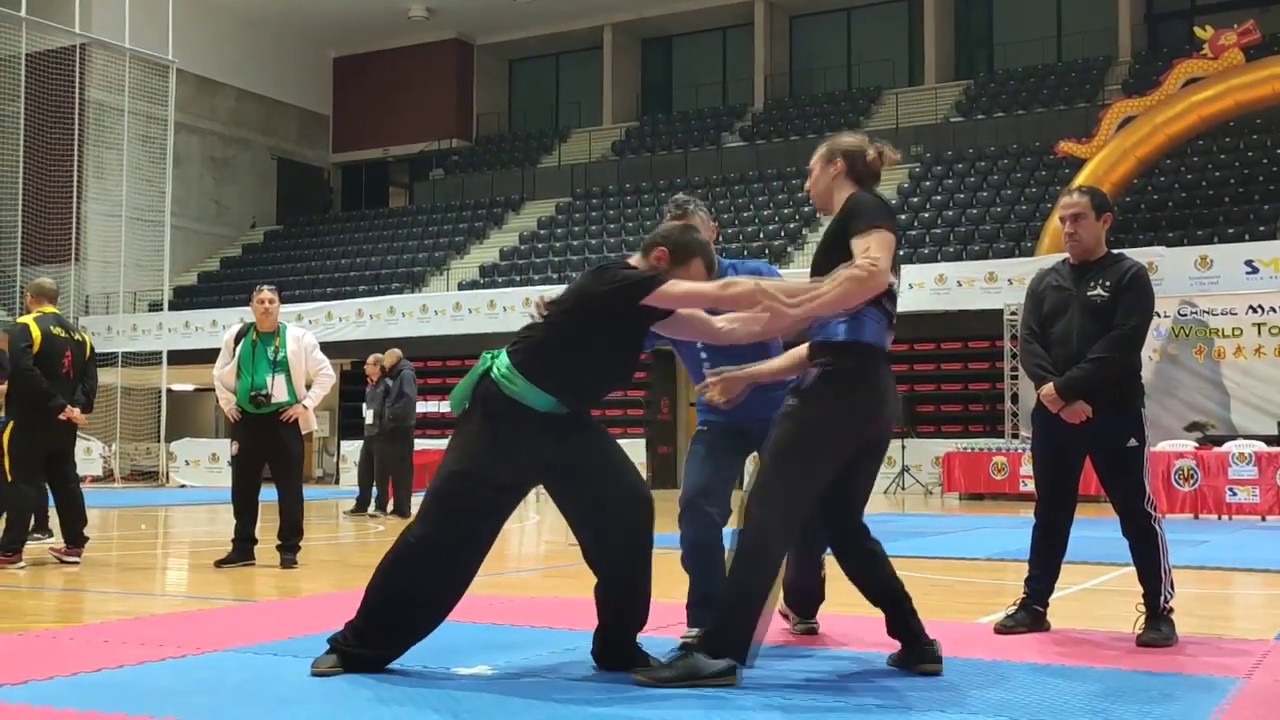 TAI CHI | TUI SHOU DE COMPETICI&Oacute;N