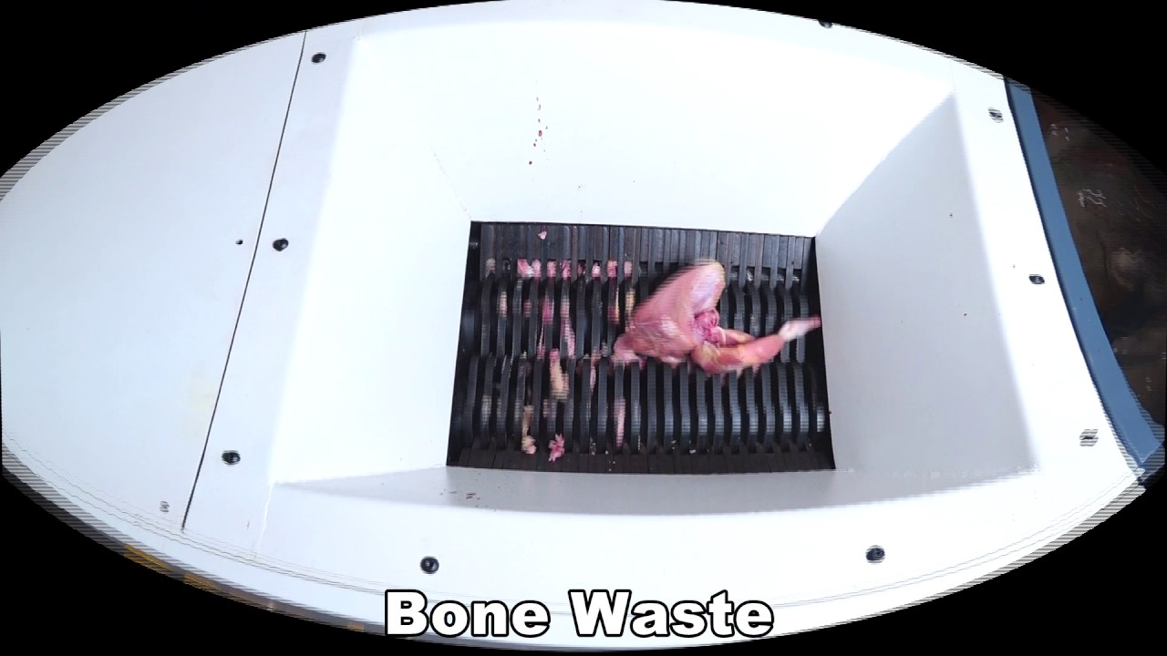 How to Shred Bone?  Meat Crusher, Bone Crusher, Fish Crusher, Waste Bone Crusher, Grinding Pig Bone