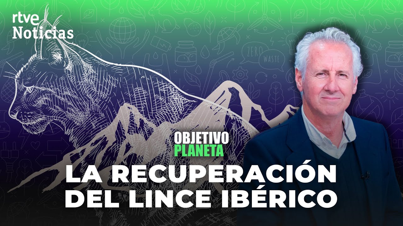 LINCE IBÉRICO: LORENZO MILÁ y la RECUPERACIÓN de ESPECIES en PELIGRO  | RTVE Noticias