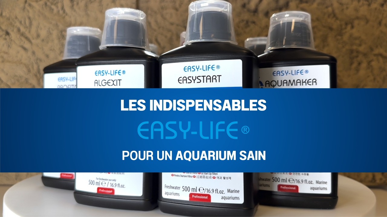 Easy Life : la solution à tous les problèmes d’aquarium ? Présentation complète Aqua Store