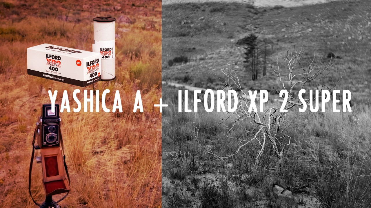 Joy! Yashica A, 1 roll of Ilford XP2 Super and 3 locations in South Africa.