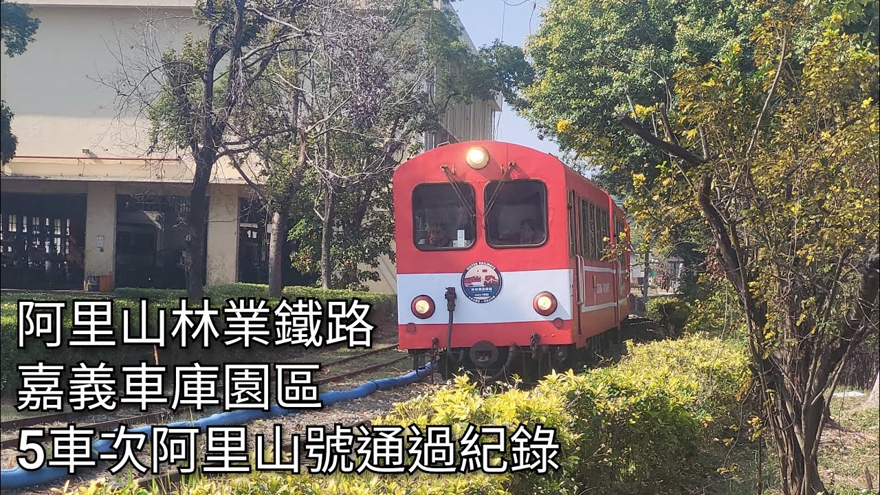 阿里山林業鐵路 5車次阿里山號(本務機DL-50)  嘉義車庫園區通過紀錄 | 日本大井川鐵道塗裝彩繪列車 | 2026.2.13 | Alishan Forest Railway | 粘粘的鐵道攝影