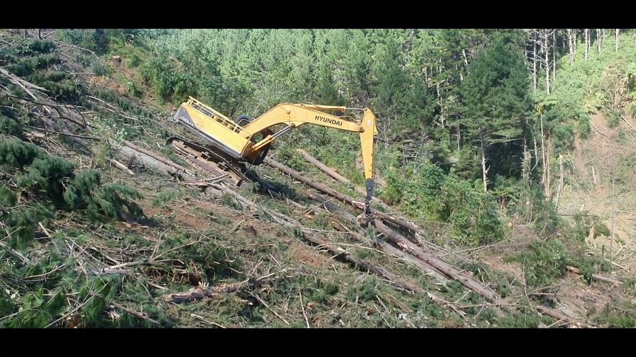 Dangerously steep shovel logging a hauler block in New Zealand