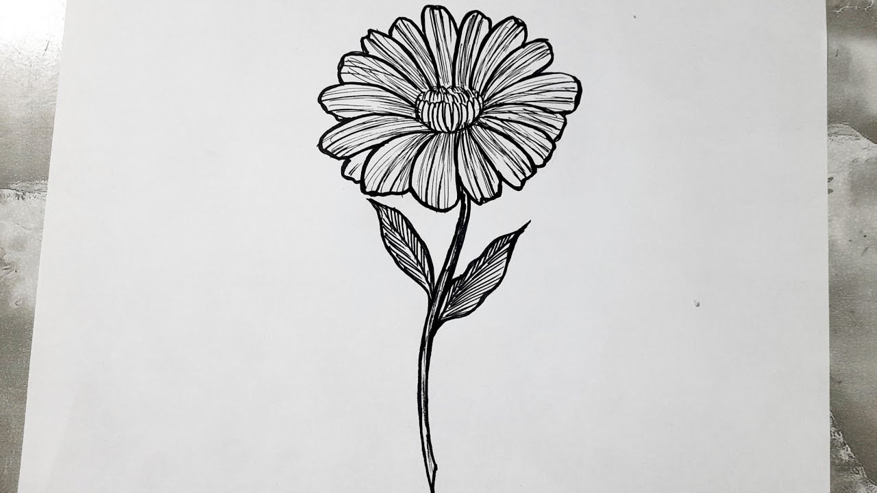 How to draw a flower easy step by step drawing tutorial for beginners
