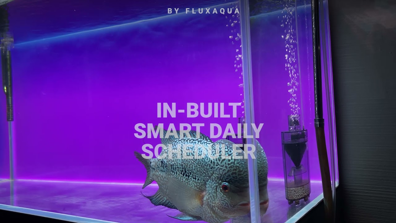 FluxAqua - Flux Chroma Background Smart Light For Aquarium Bare Tanks & Planted Aquascape
