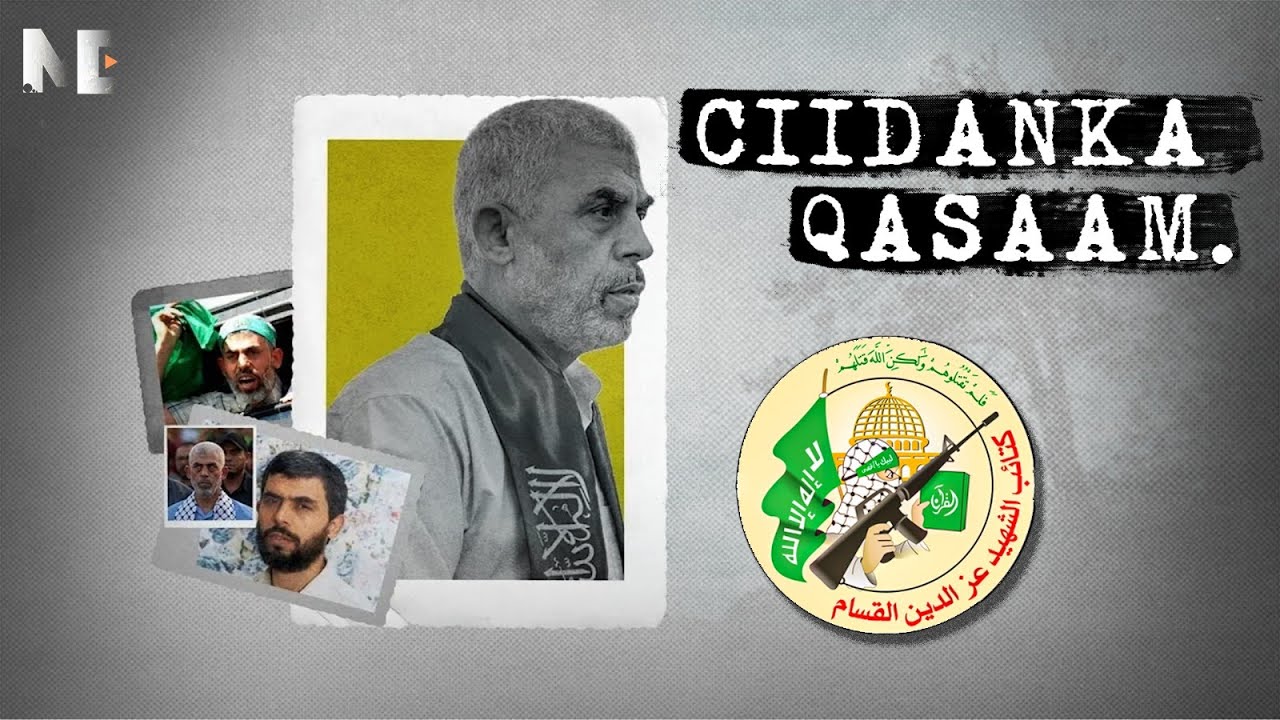 Ma taqaanaa Golaha military ee QASAAM | Miyaana la soo Gabo Gabeeyay ?