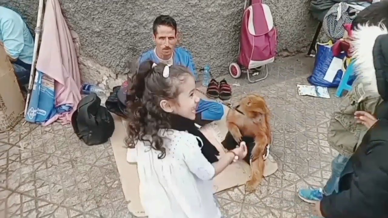 ليوما مشينا أنا ولقردة عويشة🐒لمدينة انزكان😍