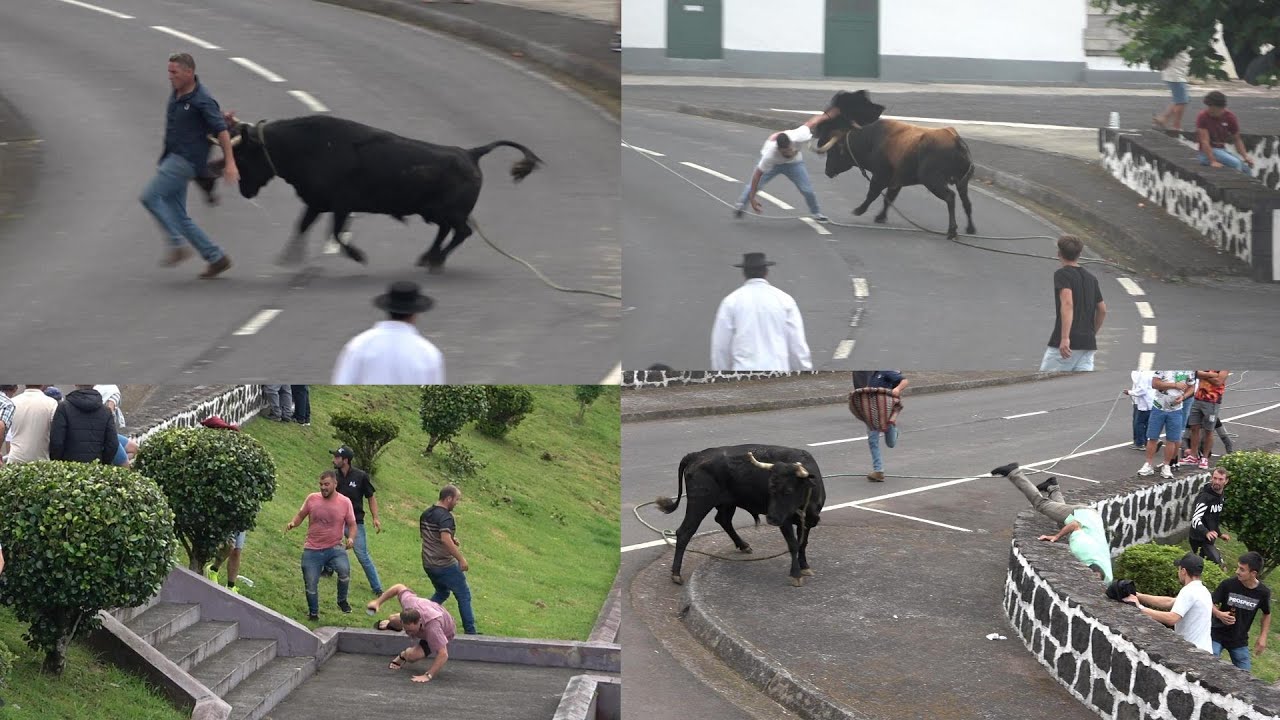 14- 09- 2025  / TOURADA À CORDA NORTE PEQUENO S. JORGE  