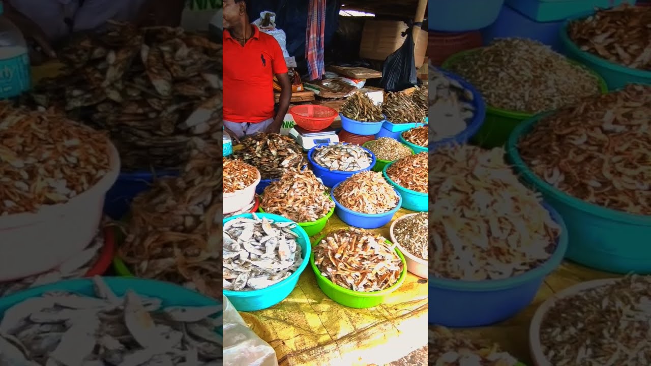 Dry Fish Market/ सुखी मछली का बाजार #dryfishmarket #trending #shorts #dryfish #ytshorts