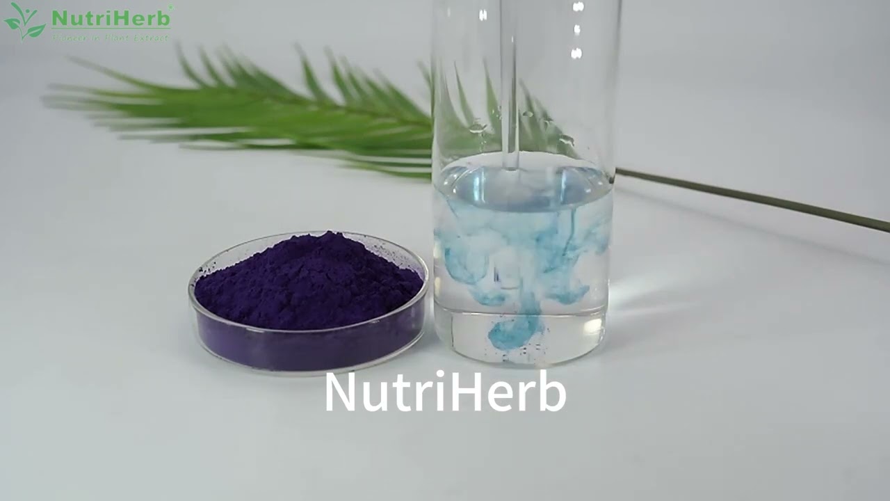 Butterfly pea flower powder from NutriHerb