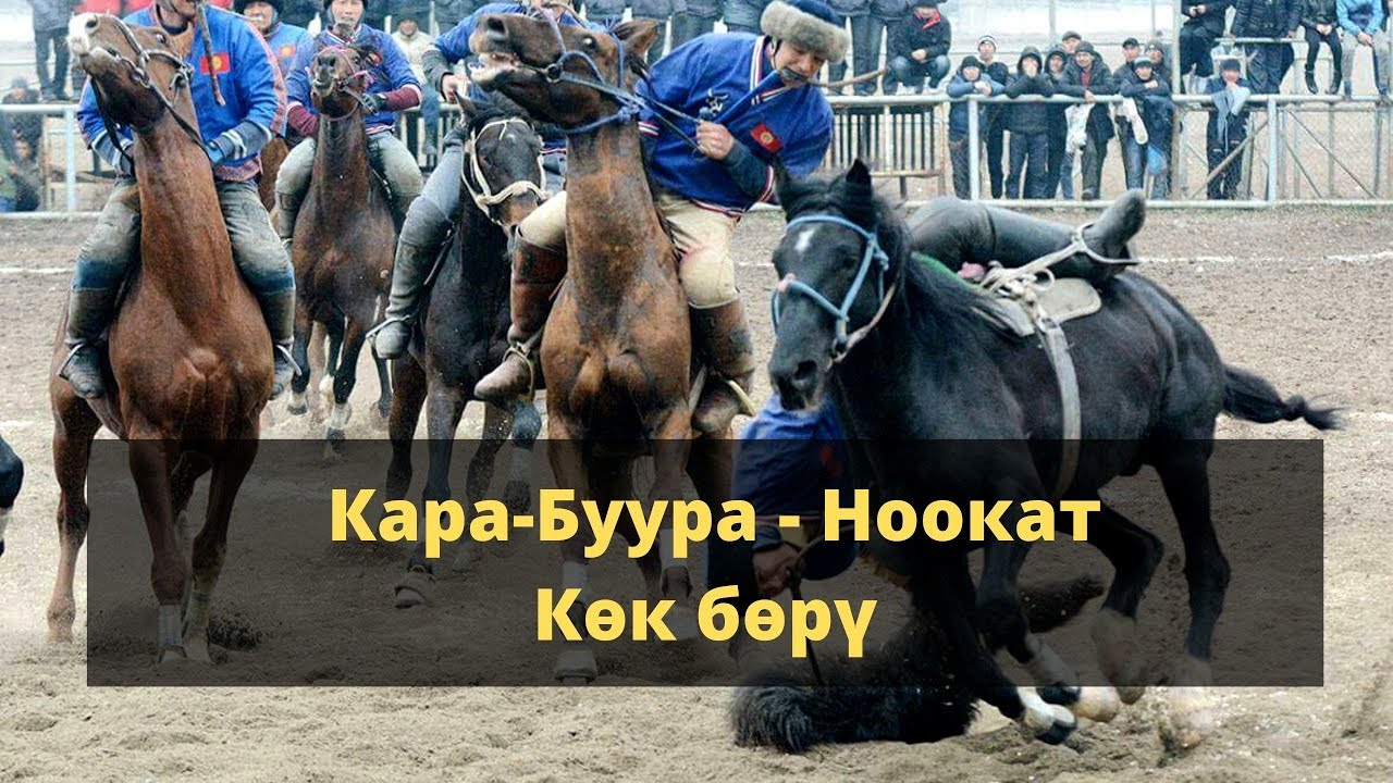Кара-Буура - Ноокат / Көк бөрү / Ош-Талас ынтымагы Кубогу