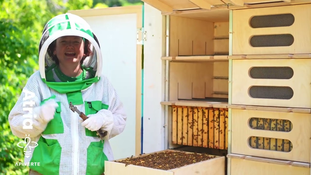 Apiverte Atria Double - AZ Style Beehouse Tour