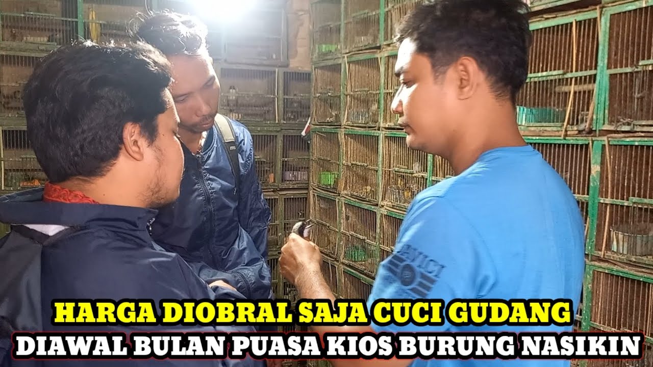 HARGA OBRAL CUCI GUDANG!!HARGA BURUNG TERBARU DIKIOS NASIKIN PASAR BURUNG PRAMUKA HARI INI