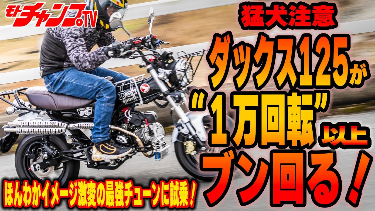 SP武川の４バルブヘッドでダックス125が猛犬に！