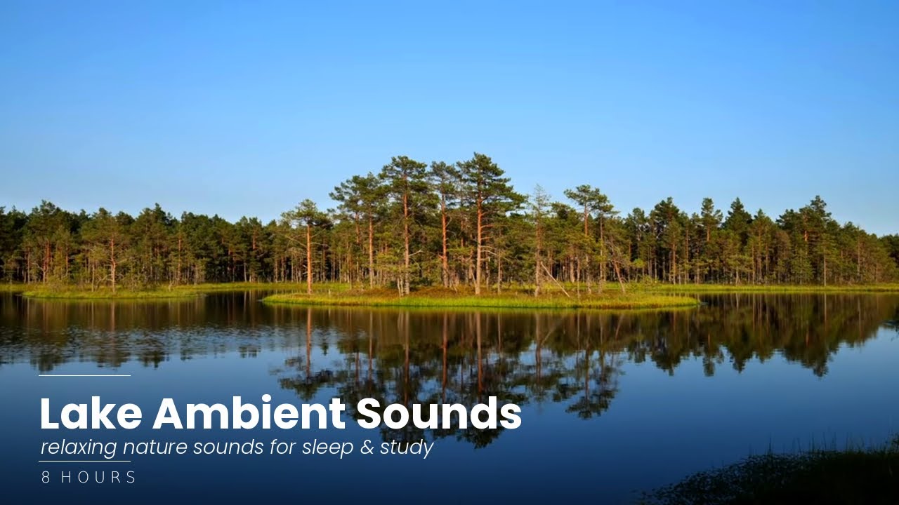 Lake Ambient Sounds 8 Hours | Relaxing Nature Sounds for Sleep & Study