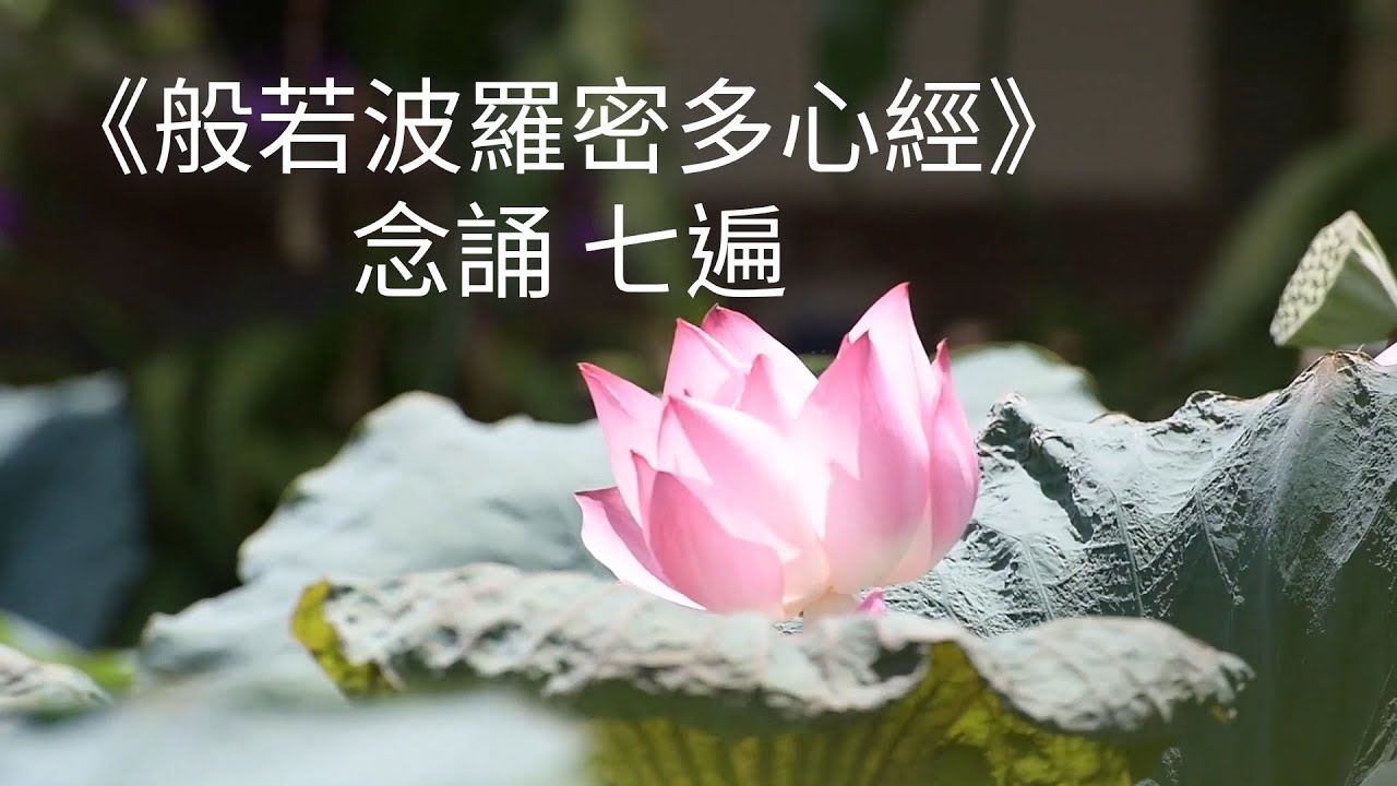 【心經】念誦七遍｜般若波羅蜜多心經｜廣東話版本