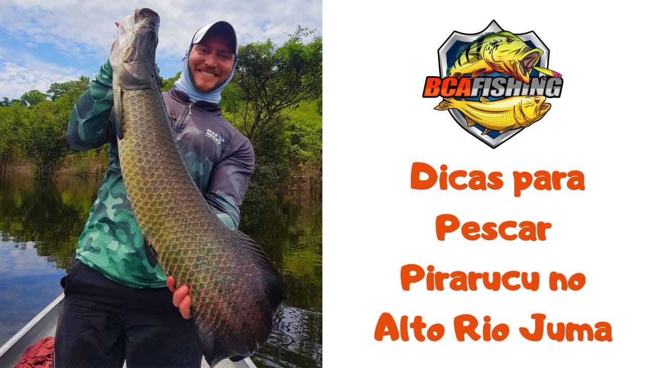 DICAS PARA PESCARIA DE PIRARUCU NO ALTO RIO JUMA