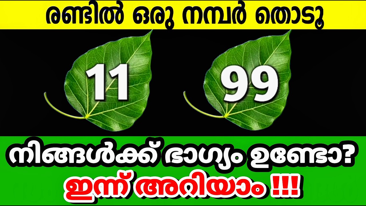 ഒരു മാജിക് നമ്പർ തിരഞ്ഞെടുക്കും.. അടുത്ത 7 ദിവസങ്ങൾക്കുള്ളിൽ ഈ കാര്യങ്ങൾ സംഭവിക്കും!!