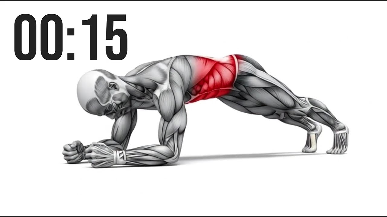 TRANSFORME TON CORPS EN 1 MINUTE DE SPORT PAR JOUR ✨