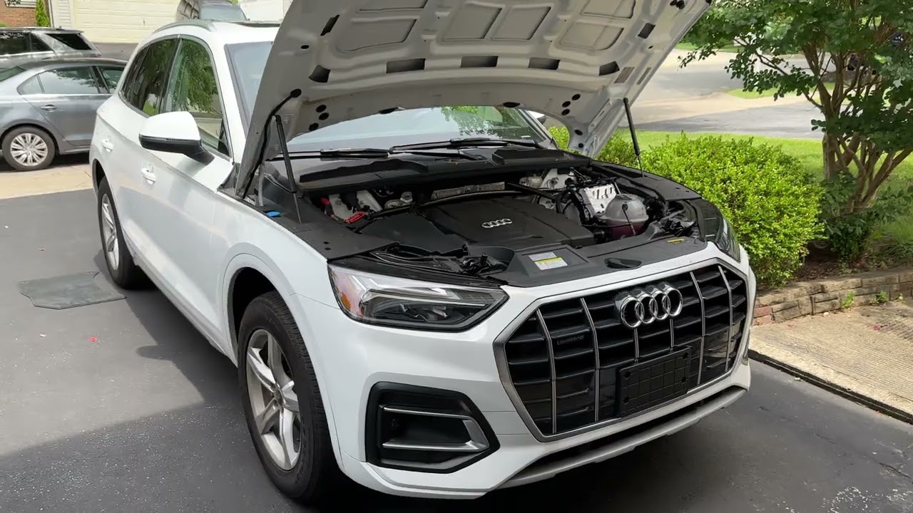 Audi Q5 Replace Engine & Cabin Air Filter (2021 - 2024)