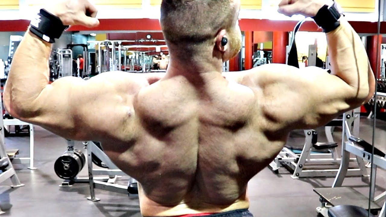 تمرين ظهر كامل BACK WORKOUT