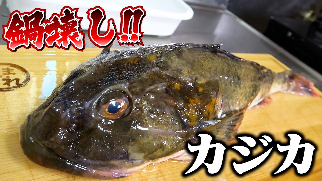 【きまぐれ土鍋】いい鍋が手に入ったから鍋壊しのカジカを調理していくよ！