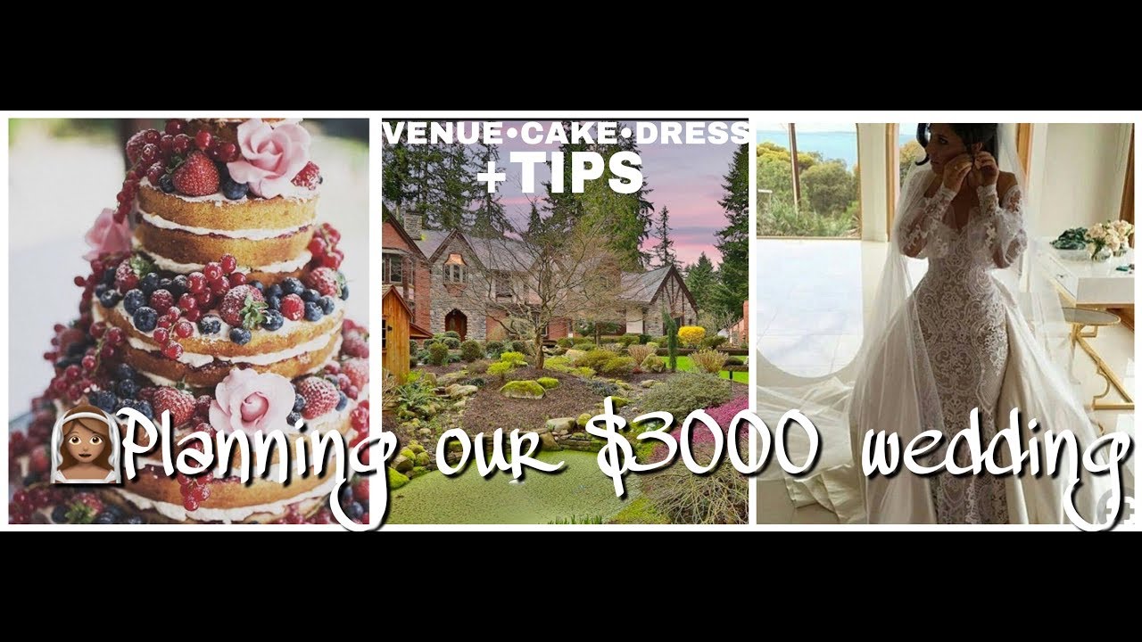 VENUE&bull;CAKE&bull;DRESS-Planning our $3000 wedding+TIPS|DIY budget bride series