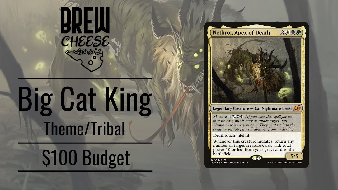 Nethroi, Apex of Death | $100 Budget | Theme/Tribal