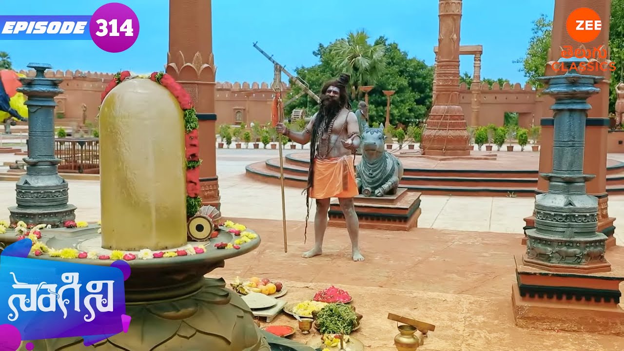 త్రిశూల్ శివానిని గుడికి పంపేలా చేస్తుంది | Naagini | Full Episode - 314 | Zee Telugu Classics