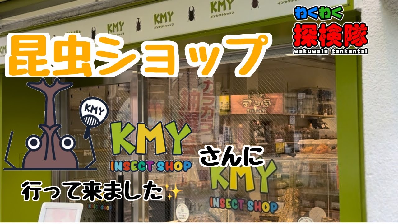 INSECT SHOP KMYさんに行ってきました！#ペットショップ#昆虫ショップ#ヘラクレス#オオクワガタ#ヒラタクワガタ#昆虫採集#カブクワ