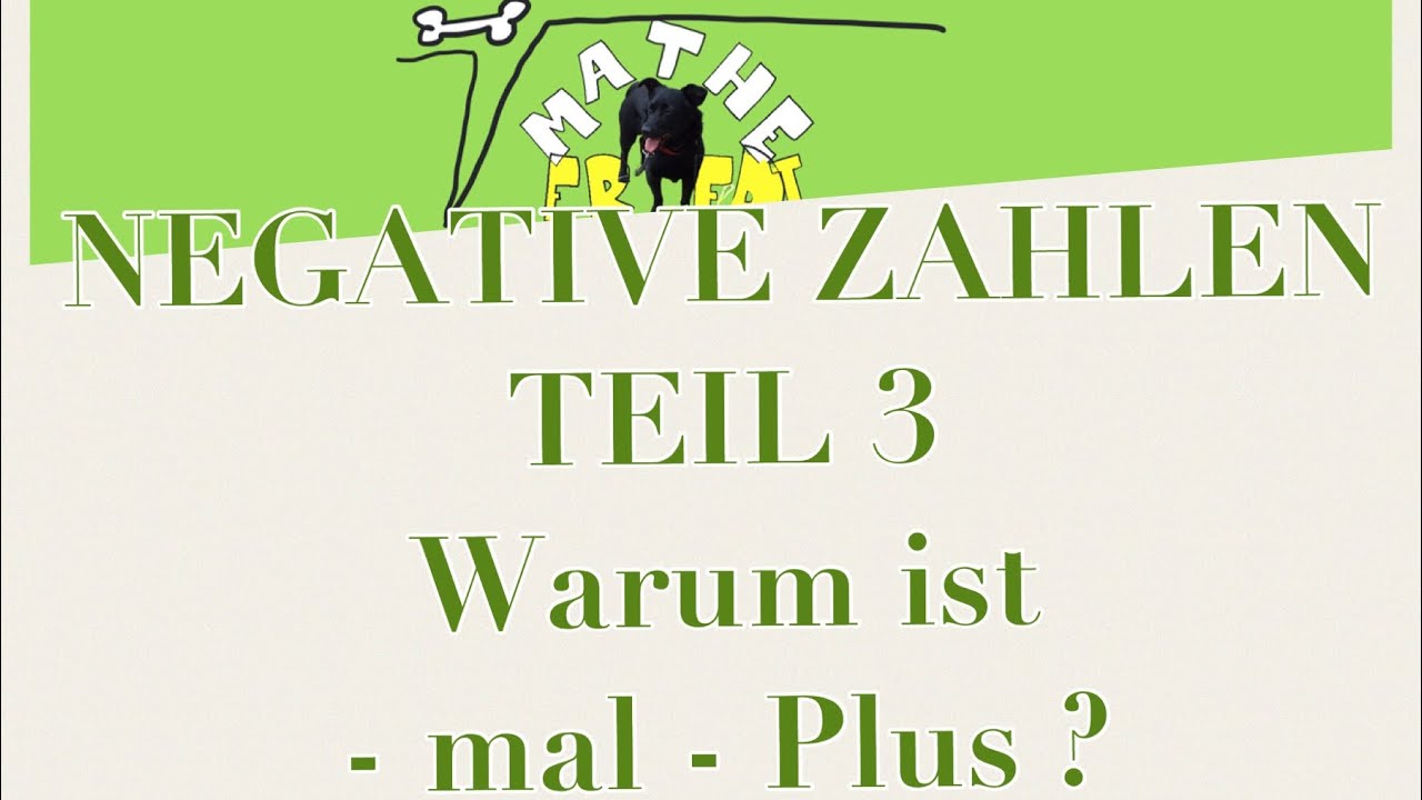 Rechnen mit negativen Zahlen Teil 3 warum ist Minus mal Minus Plus ?