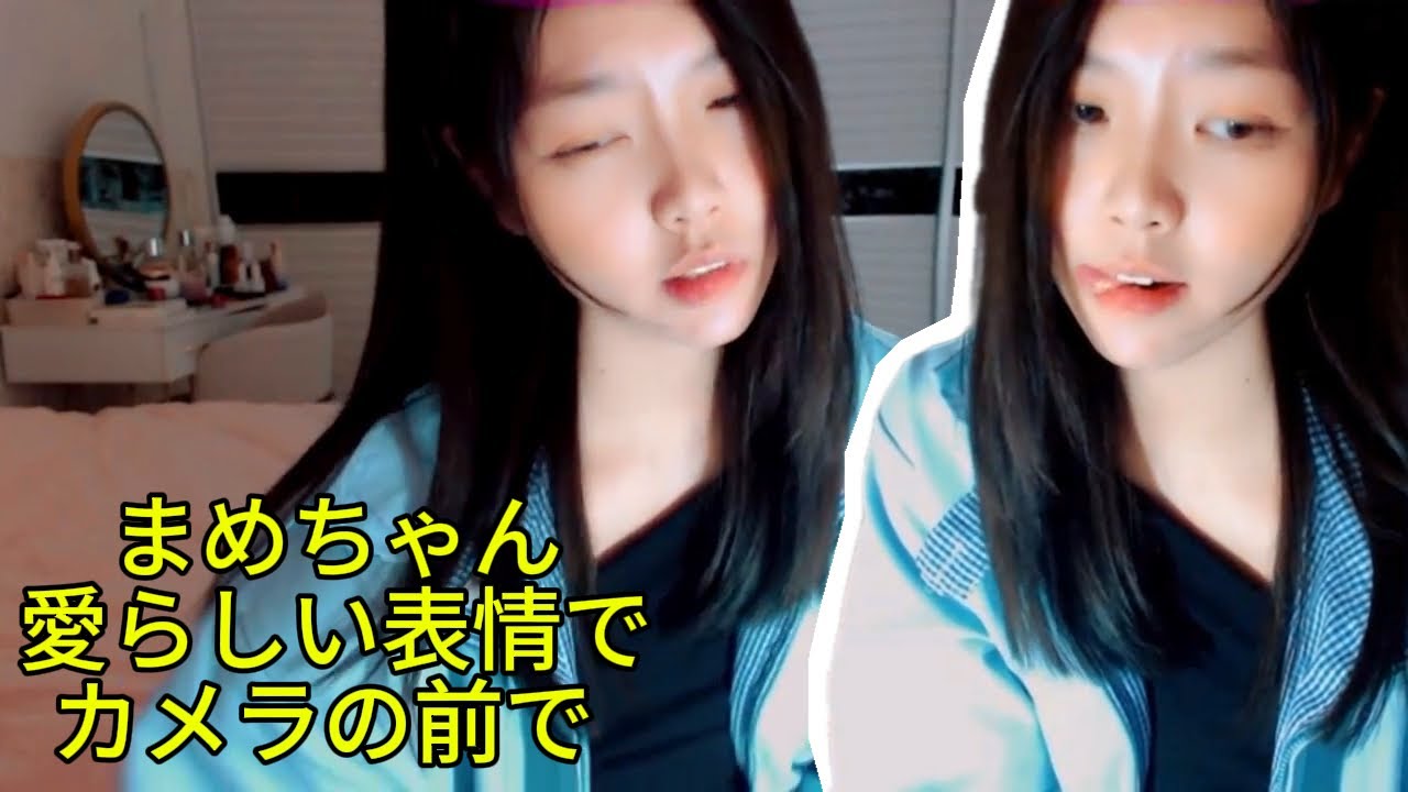 まめちゃん愛らしい表情でカメラの前で | Mame Chan