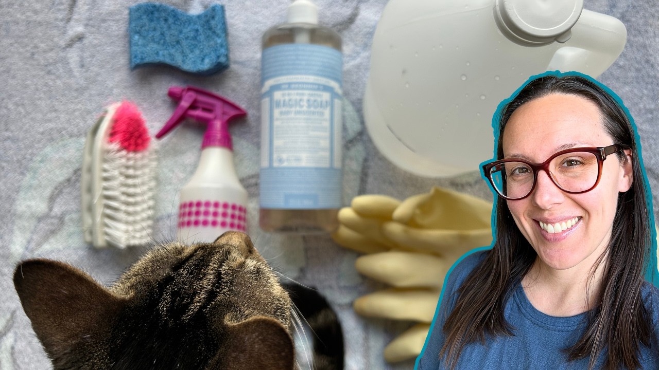 Cat friendly cleaning products I use for my apartment