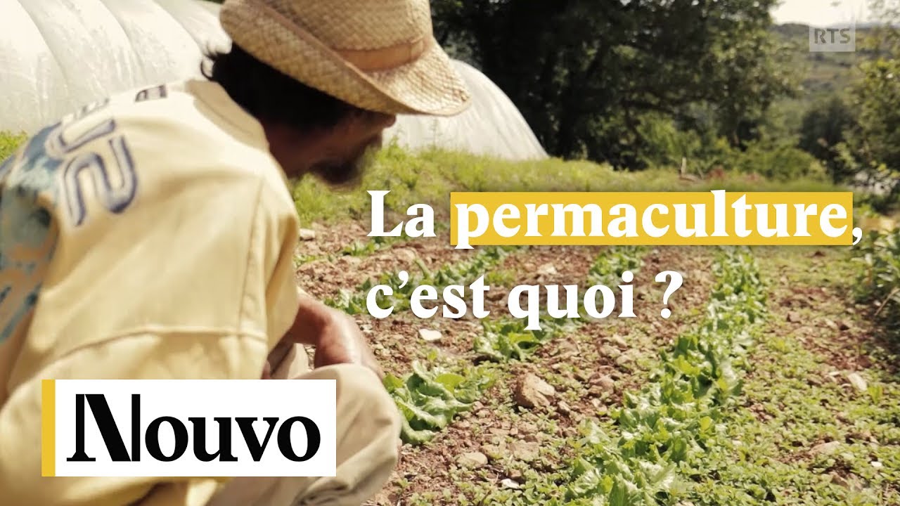 La permaculture, c’est quoi ?