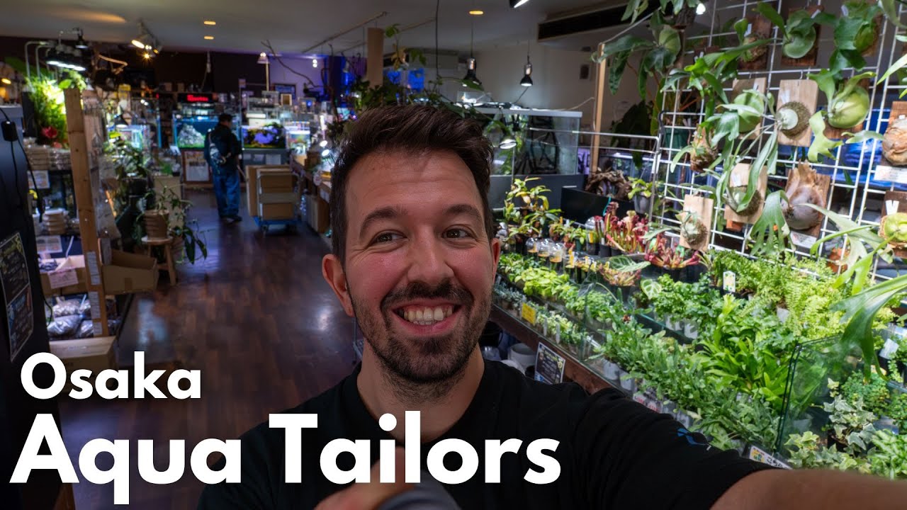 Aquarium Shop Tour in Osaka (Japan) Aqua Tailors