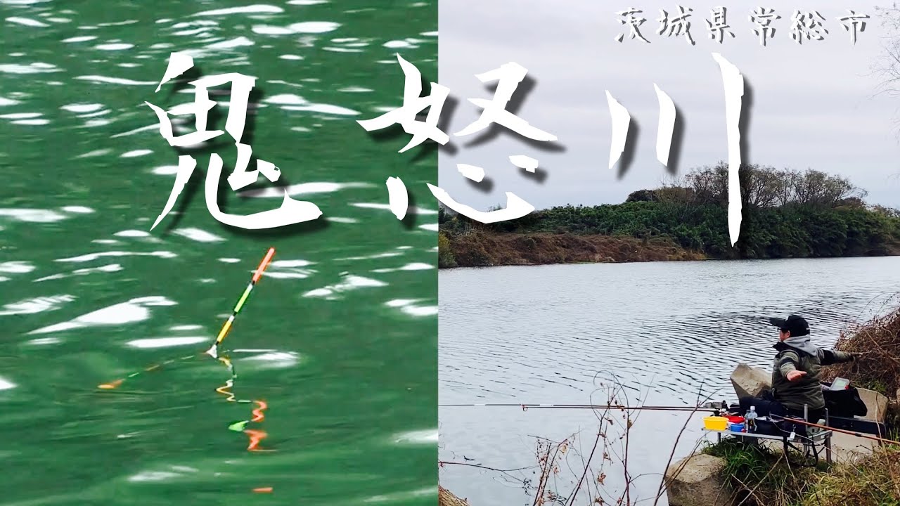 温泉は温かいけど釣りは寒いのか！鬼怒川でへらぶな釣り 茨城県常総市