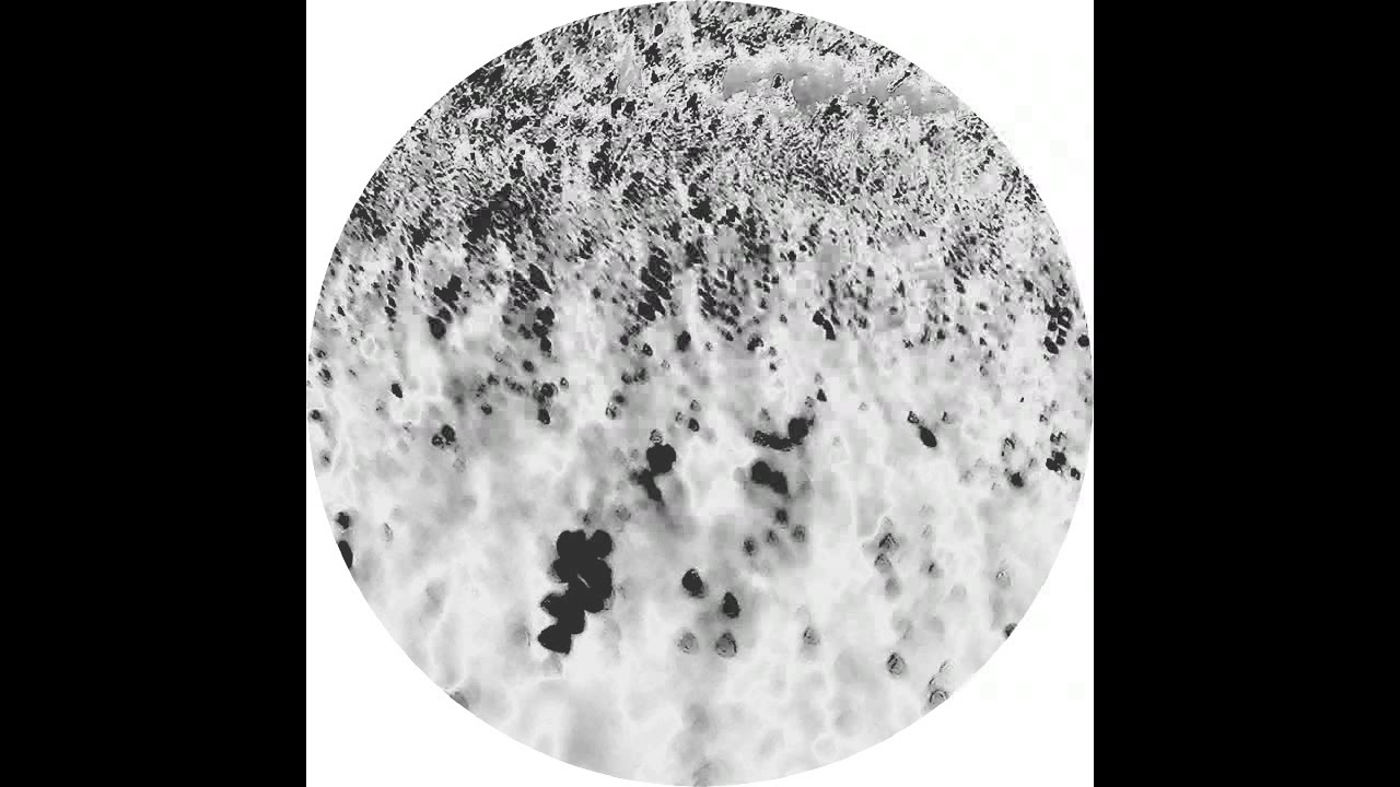 Reggy Van Oers & Joachim Spieth - Undulatus Asperatus (Affin 046 LTD)