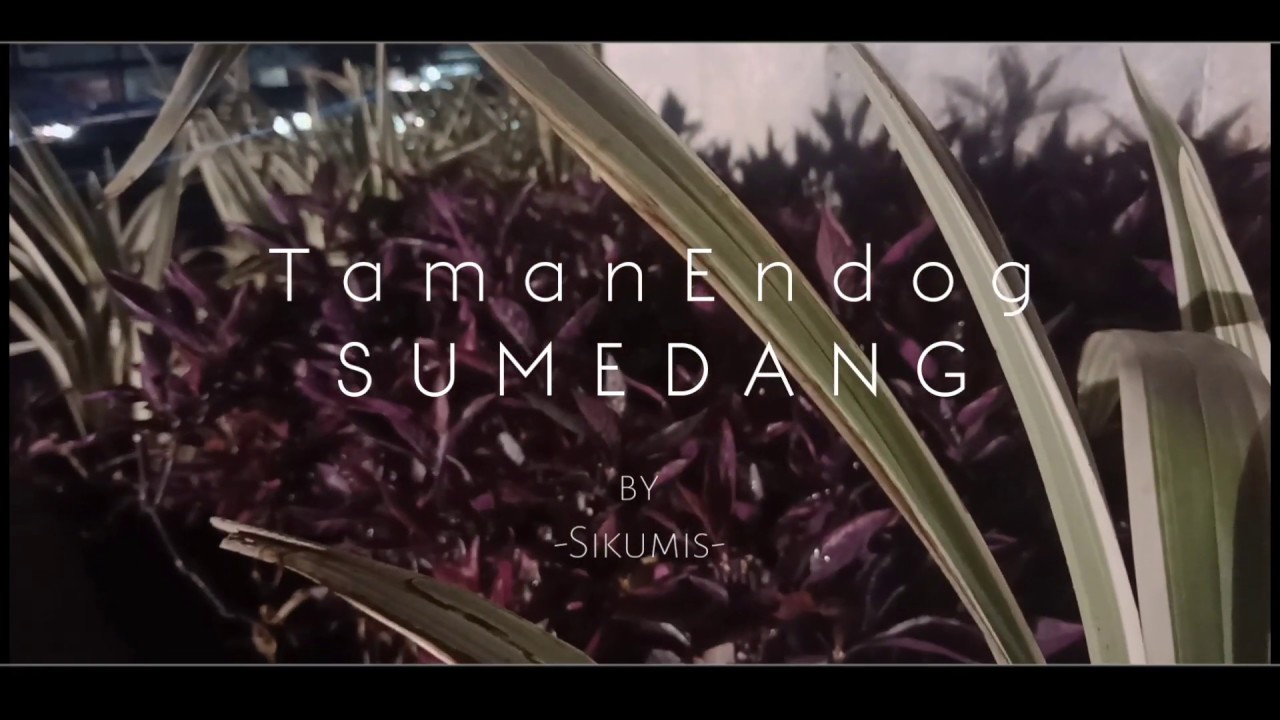 Taman Endog Sumedang (CinematicVideo)
