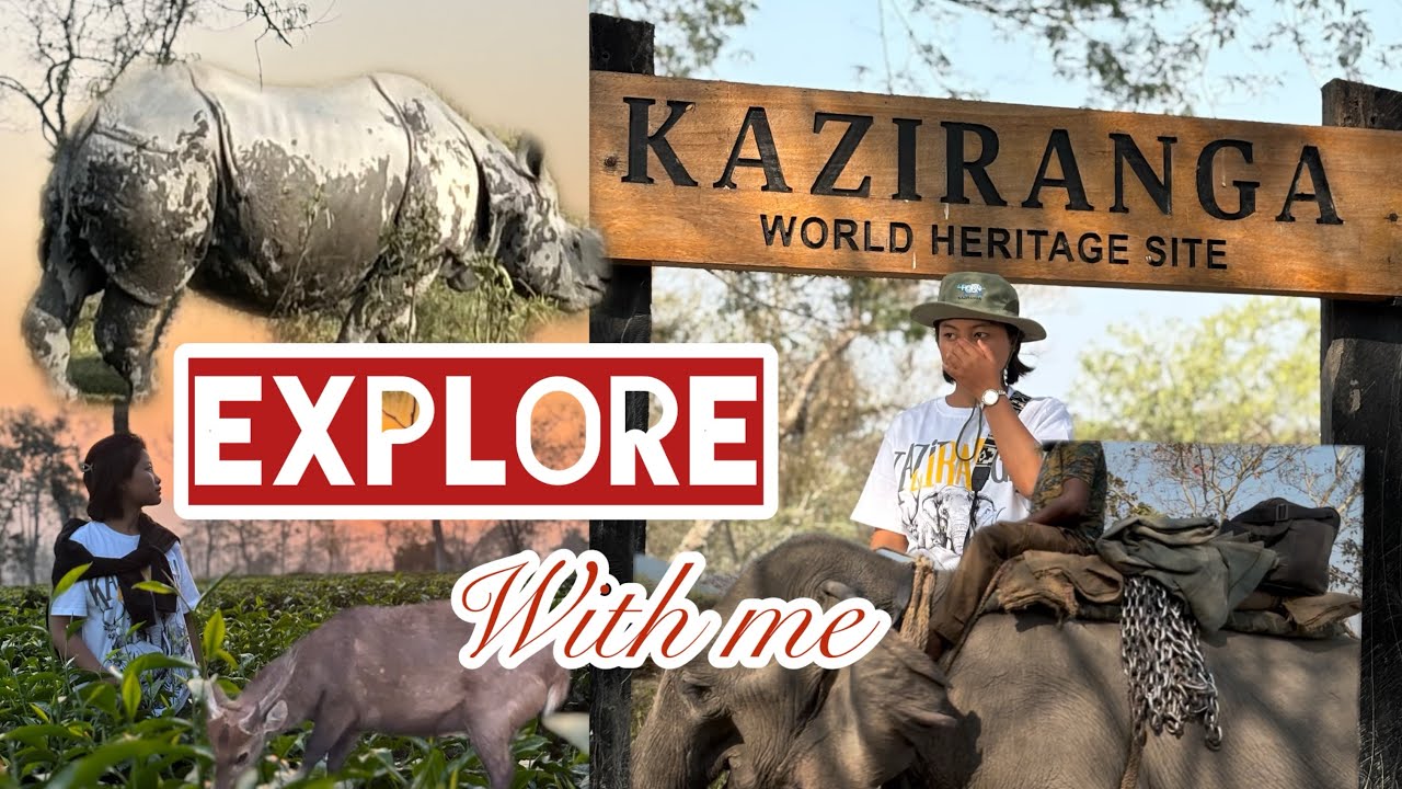 Let’s explore Kaziranga National Wildlife Park with me.