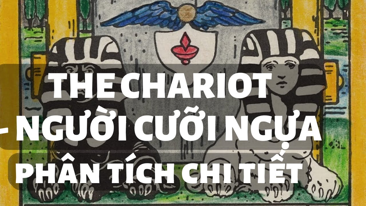 TỰ HỌC TAROT - The Chariot/Người Cưỡi Ngựa - Hướng Dẫn Chi Tiết