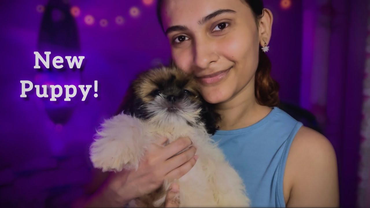 Asmr Meet My New Puppy! 🐶🫶🏻🧿