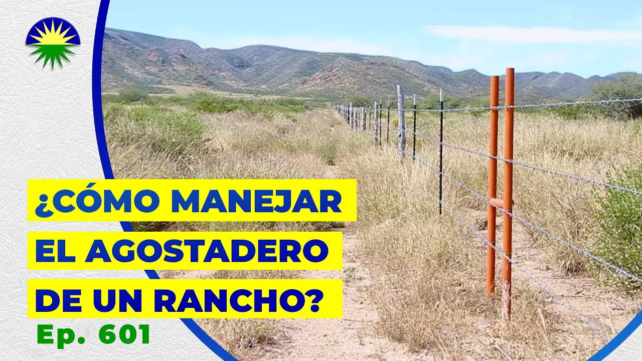 601. &iquest;C&oacute;mo manejar el agostadero de un rancho?
