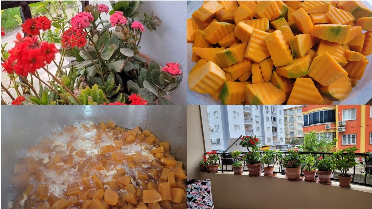 BALKON ÇİÇEKLERİM VE KİREÇ KAYMAĞINDA KABAK TATLISI