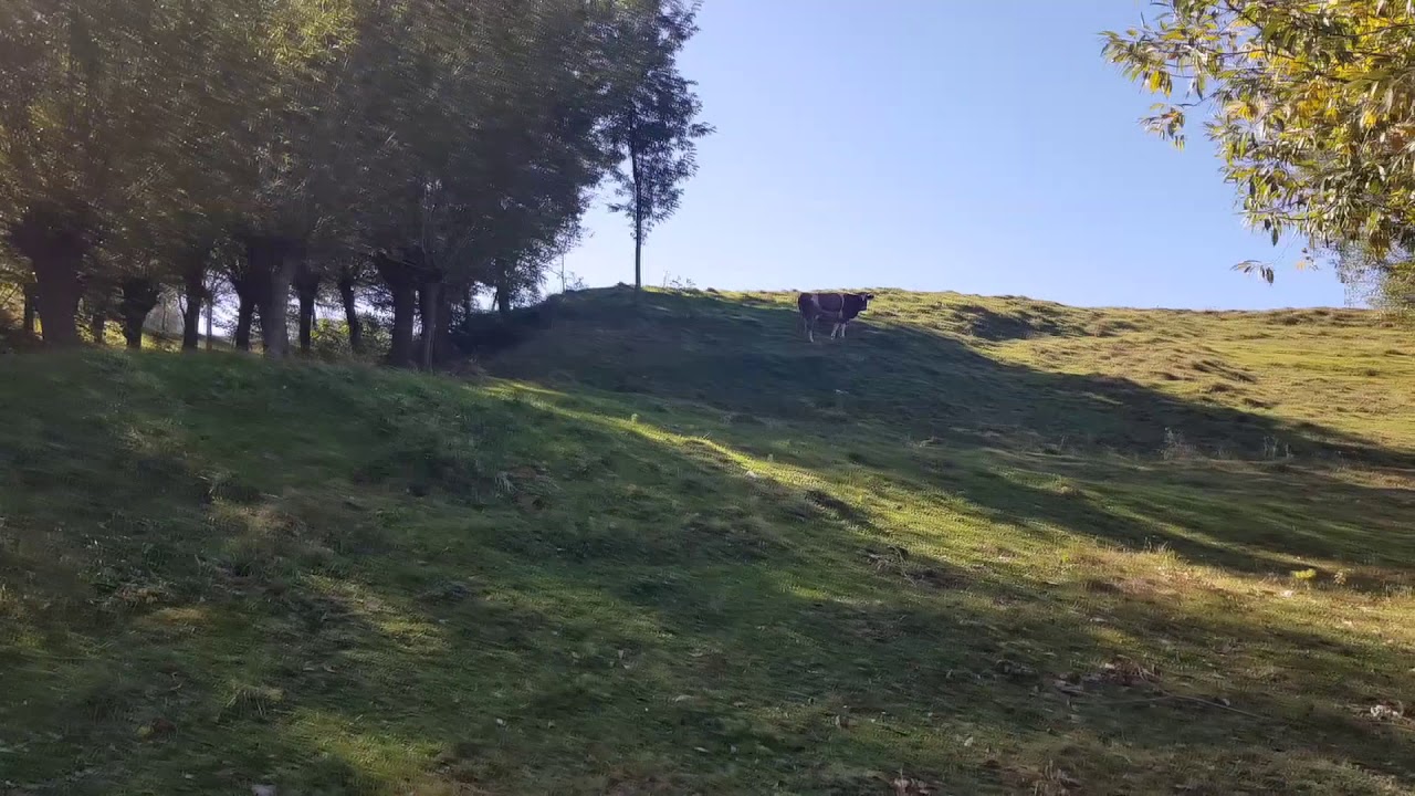 Tureni / Цурень