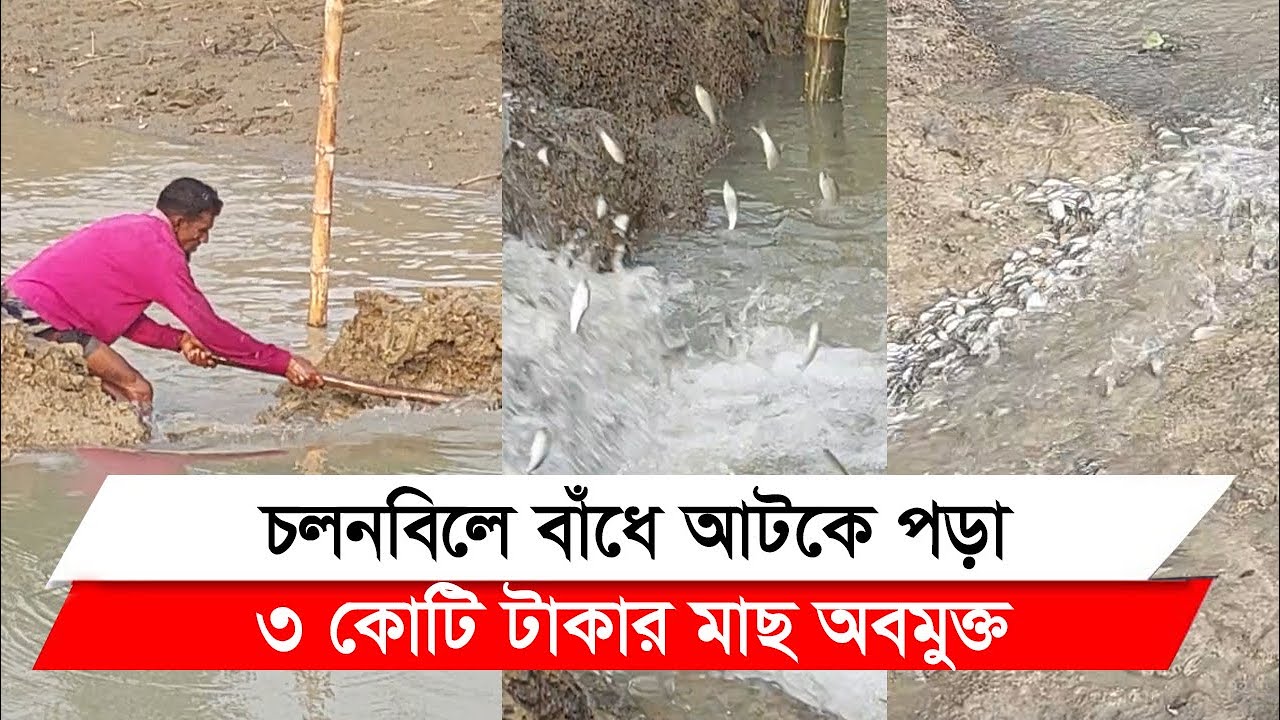 যুগান্তরে সংবাদ প্রকাশের পর চলনবিলে ১০০ কিলোমিটার খাল দখলমুক্ত