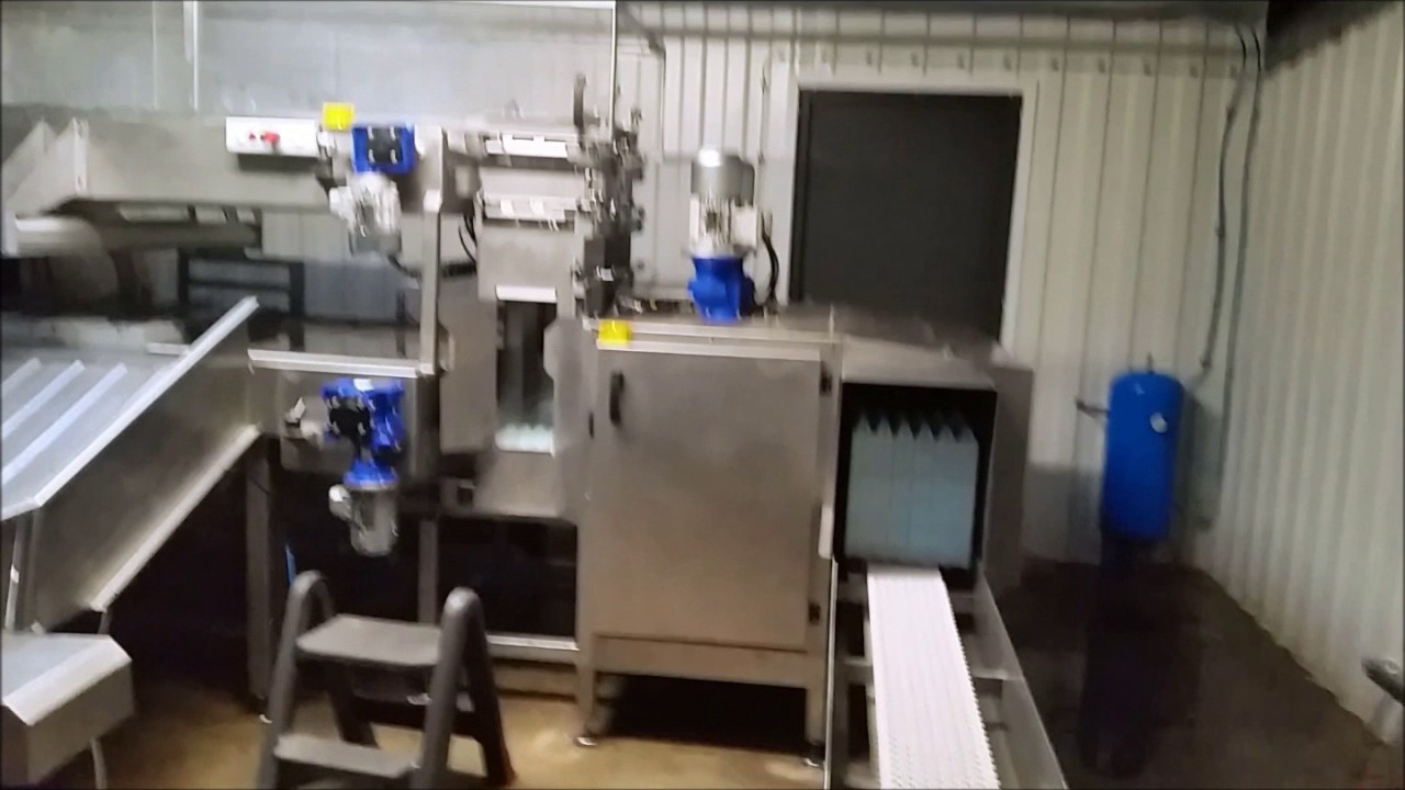 Egg Tray Pallet Washer   6500 100