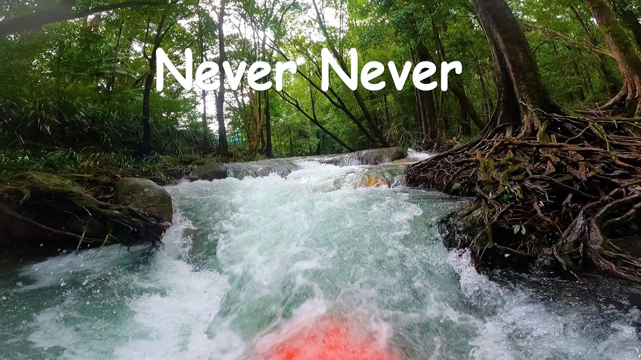 5 Minutes Kayaking the Crystal Clear Never Never River | Bellingen Australia