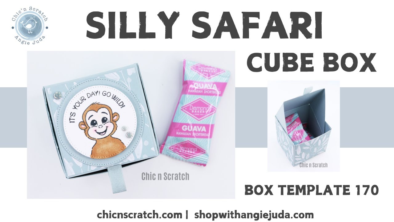 Silly Safari Cube Box