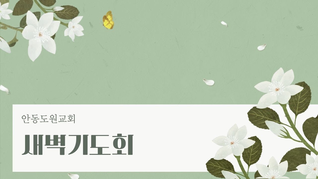 2026년 2월 14새벽기도회